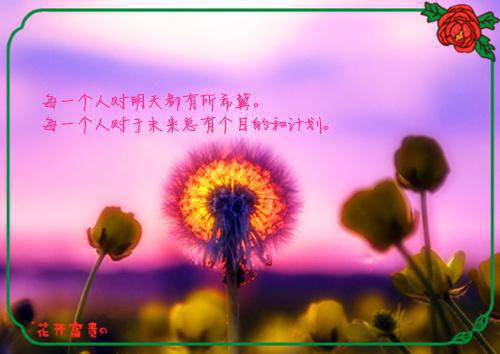 (番外)+(全文)给我扣了绿帽子的女朋友说她最爱我免费下载阅读_(宋惜惜,阿泽,黄承光)宋惜惜,阿泽,黄承光最新章节列表_笔趣阁（宋惜惜,阿泽,黄承光）