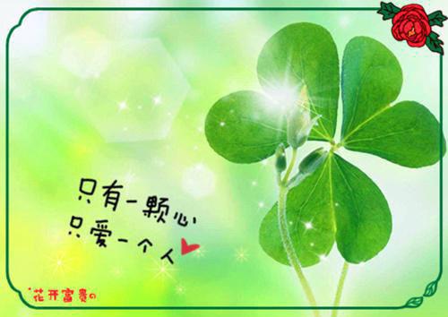 开挂辅助成团宠，全星际争当大冤种！：+番外最新章节列表_开挂辅助成团宠，全星际争当大冤种！：+番外全文免费阅读(白希薇)