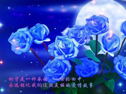 全本掌握家庭小荷包后，我倒欠十万块：免费（林蕊秦川）最新章节列表_全本掌握家庭小荷包后，我倒欠十万块：免费全文阅读