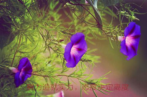 (番外)+(全文)江月不渡云舟客：小说免费+结局(江枕月谢云舟)小说最新列表_江月不渡云舟客：小说免费+结局(江枕月谢云舟)全文阅读无弹窗
