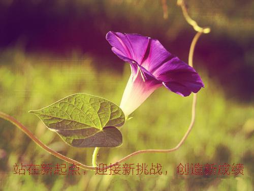 一觉醒来萧策穿越了尹姑娘,萧定山,宫里推荐完本_已完结一觉醒来萧策穿越了（尹姑娘,萧定山,宫里）