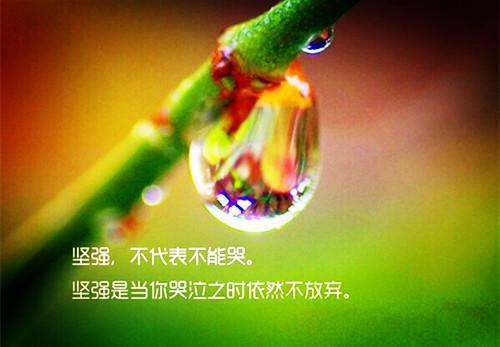(番外)+(全文)强吻血族公主，我无敌了最新章节免费阅读_（苏哲林诗情）强吻血族公主，我无敌了全文免费在线阅读_笔趣阁（苏哲林诗情）