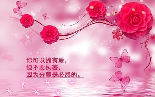 全文浏览凭着回忆爱你倾心编著（沈栖夏程宴西苏听晚）_凭着回忆爱你倾心编著（沈栖夏程宴西苏听晚）全文结局