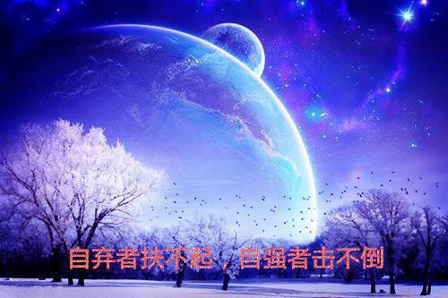 血染锦绣：庶子复仇手撕白月光最新章节列表_血染锦绣：庶子复仇手撕白月光全文免费阅读(陆明轩苏清歌林婉儿)