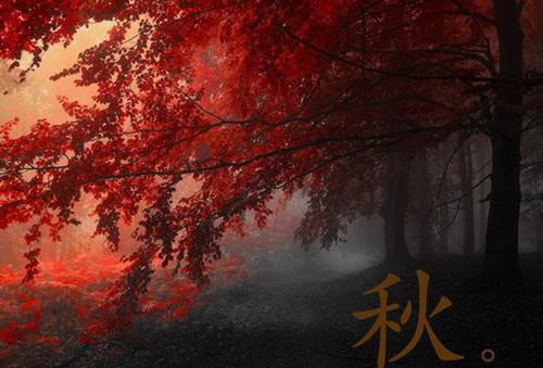 (番外)+(全文)南语/终是庄周梦了蝶：全新全文+后续下载阅读_(南语沈聿珩乔清意)南语/终是庄周梦了蝶：全新全文+后续最新章节列表_笔趣阁（南语沈聿珩乔清意）