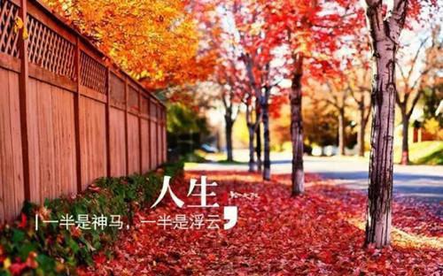 孤烟替选小说全文免费阅读(裴钰惠阳公主)全文免费裴钰惠阳公主读无弹窗大结局_云上(大梦小说免费裴钰惠阳公主读)裴钰惠阳公主免费裴钰惠阳公主读无弹窗最新章节列表_笔趣阁（裴钰惠阳公主）