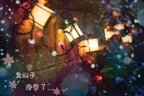 被他前女友整容顶替后，我选择另嫁他人（周承砚）最新推荐_最新推荐被他前女友整容顶替后，我选择另嫁他人（周承砚）