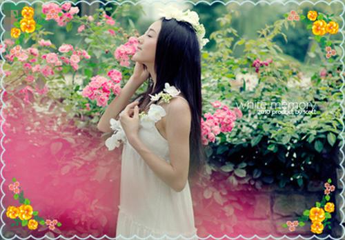 完结文盛景如诗不歇：精心打造最新章节列表_完结文盛景如诗不歇：精心打造全文免费阅读（顾崇高夏凌霜）