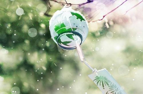 小说夜安锦付余生第1章的小说免费阅读