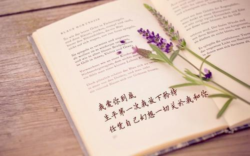 (番外)+(全文)顾昭昭陆瑾年此意寄昭昭：+后续免费下载阅读_（顾昭昭陆瑾年）顾昭昭陆瑾年此意寄昭昭：+后续最新章节列表_笔趣阁（顾昭昭陆瑾年）