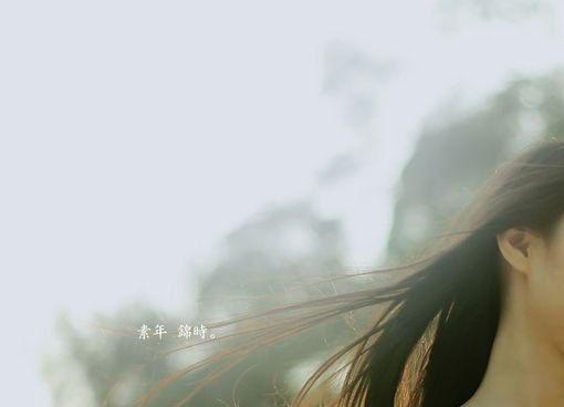 全本小说湛岚段经年by佚名免费阅读