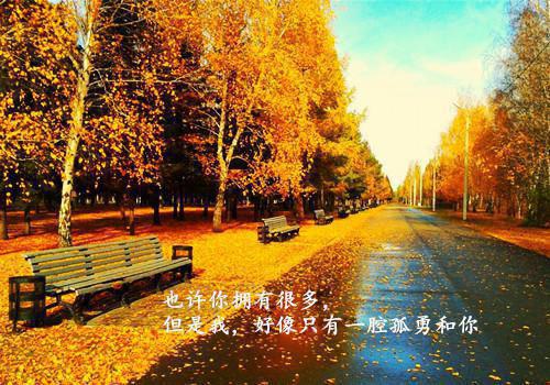 顾惜顾言川全文免费阅读（蓝魅推荐小说）全文免费顾惜顾言川读无弹窗大结局_顾惜顾言川全文免费顾惜顾言川读（蓝魅推荐小说）最新章节列表_笔趣阁（顾惜顾言川）