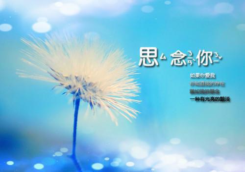 作者为流痕的小说小明星没人气？靠摆地摊圈粉无数阅读