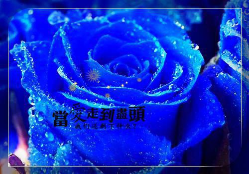 我昭君五杀的小说渣男想用一万娶我回家沅沅李锦完结版阅读