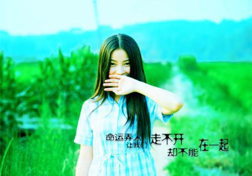 爱如烟花，转瞬即逝：结局+番外+完结最新章节列表_爱如烟花，转瞬即逝：结局+番外+完结全文免费阅读(沈景初顾鸢)