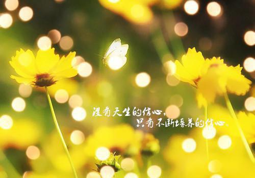 全本魂魄归位！重生后我爬出馆了（符印,赵律师,张头）最新章节列表_全本魂魄归位！重生后我爬出馆了全文阅读
