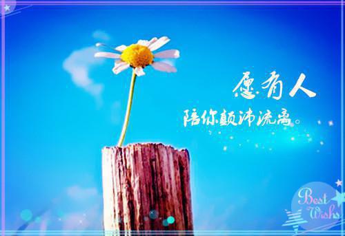 深情予你不诉离殇：++后续实力派（宋思哲华梦月）全文免费_（宋思哲华梦月）深情予你不诉离殇：++后续实力派后续阅读（宋思哲华梦月）