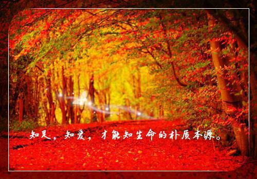 无套路全集（宋疏月商覃）我的爱给谁都耀眼：前言+后续每日分享隐藏篇章+续集