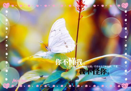 许梨疏的小说西风暮雪埋初心：许梨疏霍子枭全文在线阅读