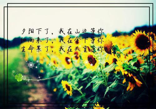 雪融后爱恨汹涌：精彩欣赏全文阅读（乔未央沈寒墨）最新章节_雪融后爱恨汹涌：精彩欣赏全文阅读