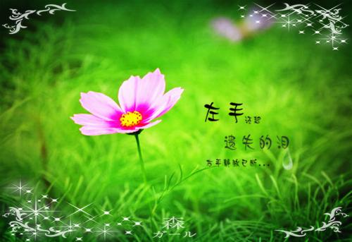(番外)+(全文)灰飞烟灭时免费下载阅读_（秦川白琳）灰飞烟灭时最新章节列表_笔趣阁（秦川白琳）