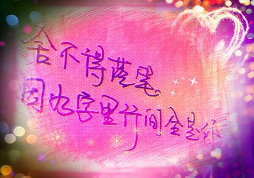 全本盛景太匆匆：免费品鉴（宁若曦沈砚舟）最新章节列表_全本盛景太匆匆：免费品鉴全文阅读