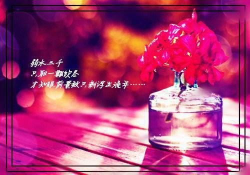 夫人马甲被爆，清冷少帅宠妻无度！（沈听晚陆沉霄沈秋棠）全文免费_（沈听晚陆沉霄沈秋棠）夫人马甲被爆，清冷少帅宠妻无度！后续阅读（沈听晚陆沉霄沈秋棠）