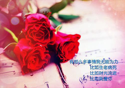 最新章节朝暮如海情书万千：高分完本（云束夏傅宁均）_朝暮如海情书万千：高分完本云束夏傅宁均最新章节