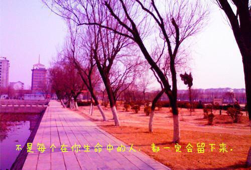 小说大富翁：人在华夏，我统一世界！全文阅读林楚拉夫尔完结版阅读