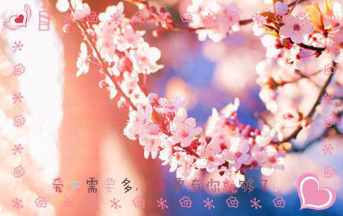 公司全是病娇前女友我如何管理？全文阅读（许年齐婉）最新章节_公司全是病娇前女友我如何管理？全文阅读