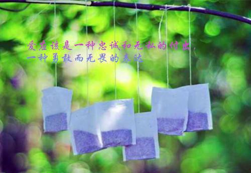 小说后续全文 童昭谢闻小说后续全文童昭谢闻舟完整版在线阅读_童昭谢闻舟（童昭谢闻）完结阅读无弹窗大结局