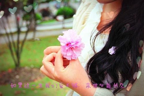 娘娘她乖巧人设崩了沈知澜全文阅读（宫里,沈妹妹,才是）最新章节_娘娘她乖巧人设崩了沈知澜全文阅读