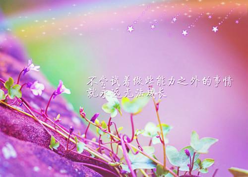 姜柚黎野推荐完本_推荐完本姜柚黎野