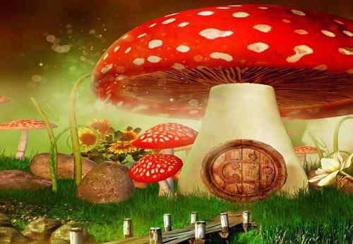 为了给装穷的老公还债，七岁的儿子自杀了：版（宋知意裴子期）最新章节_为了给装穷的老公还债，七岁的儿子自杀了：版全文阅读