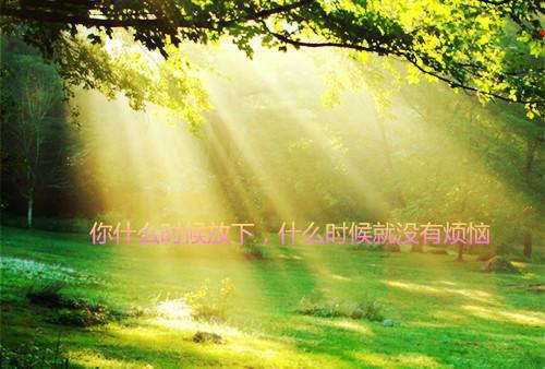 给摄政王当通房丫鬟五年后，我逃了：+后续+完结最新章节列表_给摄政王当通房丫鬟五年后，我逃了：+后续+完结全文免费阅读(谢梨赫连城)