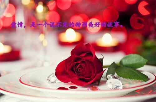 最新章节替嫁妻子魂飞魄散后，仙君悔疯了（长珩瑶姬）_替嫁妻子魂飞魄散后，仙君悔疯了长珩瑶姬最新章节