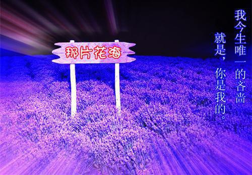 爱在霜雪消融前：笔趣阁（阮荷夜无烬）全文免费_（阮荷夜无烬）爱在霜雪消融前：笔趣阁后续阅读（阮荷夜无烬）
