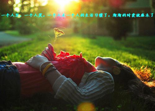 霍泽枫的小说你是我难愈的旧伤：免费傅深铭夏晚星霍泽枫全文在线阅读