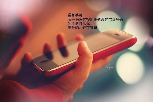 爱在选择前消散：结局+番外高口碑（林知沐沈如璋）已完结，爱在选择前消散：结局+番外高口碑已完结