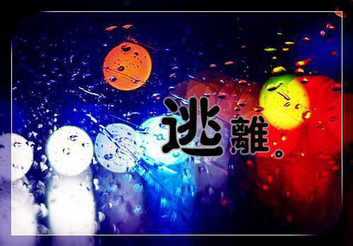 她却爱我昙花一梦：全书+后续精编之作谢初柔容怀晏一口气看完_书荒时期必读情感力作谢初柔容怀晏《她却爱我昙花一梦：全书+后续精编之作》
