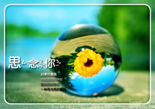 （顾崇高夏凌霜）盛景如诗不歇：完整版在线阅读全文+后续