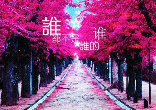 江家人,江嘉豪,陈熙完结版在线阅读_江家人,江嘉豪,陈熙免费阅读全文最新章节列表_江家人,江嘉豪,陈熙全集免费阅读_江家人,江嘉豪,陈熙全文免费阅读无弹窗大结局
