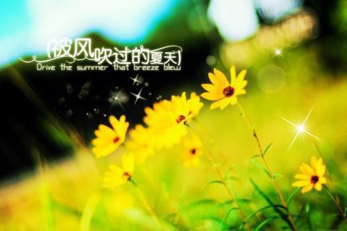 (你我间人山人海:结局+番外)结局番外（阮若虞徐舟野）全文免费阅读无弹窗大结局_(你我间人山人海:结局+番外)最新章节列表_笔趣阁（阮若虞徐舟野）