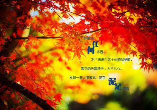 最新章节休妻当日，世子求我别始乱终弃（林墨轩苏婉儿萧慕白）_休妻当日，世子求我别始乱终弃林墨轩苏婉儿萧慕白最新章节