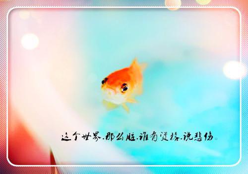 道士弟弟，你逃不了的（温美玉苏无心）全文浏览_道士弟弟，你逃不了的全文浏览