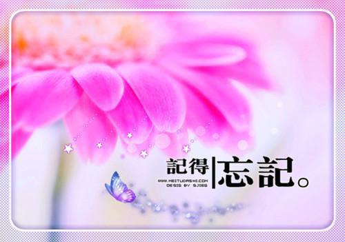 (从此你我银河相望：结局+番外)结局番外（沈时愿谢聿深）全文免费阅读无弹窗大结局_(从此你我银河相望：结局+番外)最新章节列表_笔趣阁（沈时愿谢聿深）