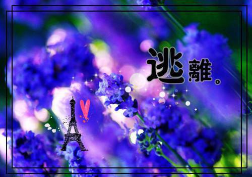 重生后，我上大学不救竹马最新小说（林嘉树周清洛）全文阅读