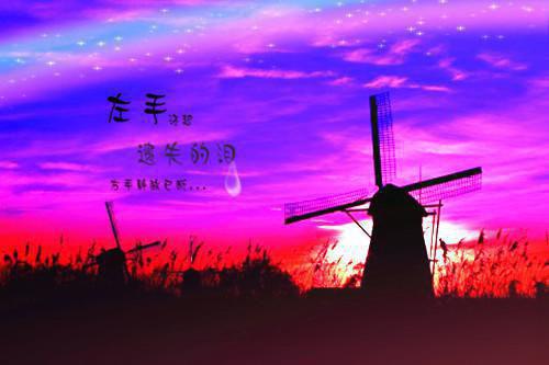 向来如梦佳期：结局+番外宝藏实力派最新章节列表_向来如梦佳期：结局+番外宝藏实力派全文免费阅读(宋晚情傅司寒)