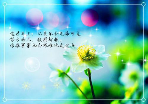 我女朋友是妈妈的闺蜜言情作品(宋非沈清怡)全章无套路阅读纯净版小说大结