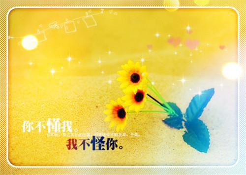 春风如刀的小说四合院：我放下脸面后生活贼滋润林元贾张氏全文在线阅读
